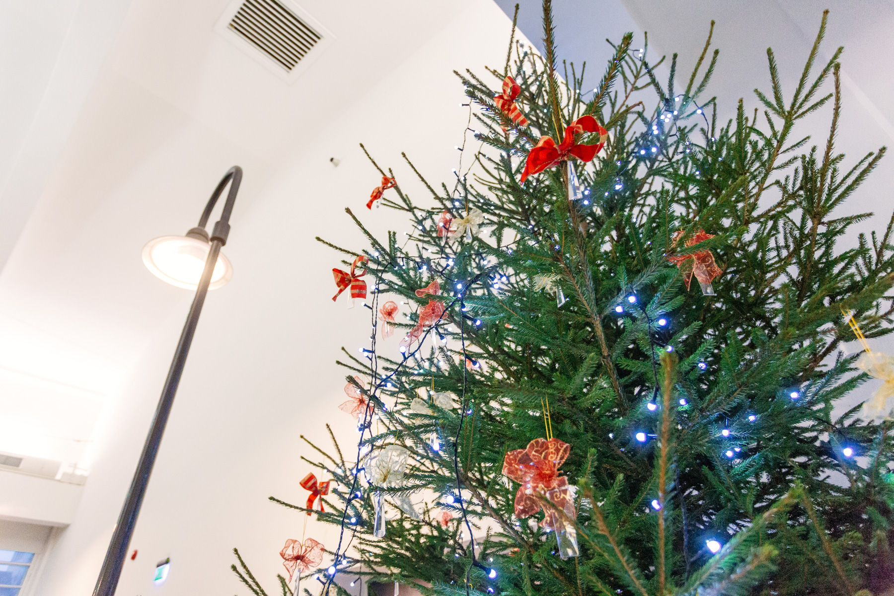 Opening Hours In December