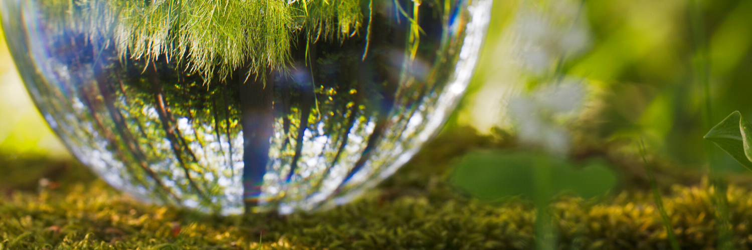 Perepäeval, 15. veebruaril avastame maapõue aardeid